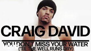 Craig David - You Don&#39;t Miss Your Water (&#39;Til the Well Runs Dry) (Official Audio)