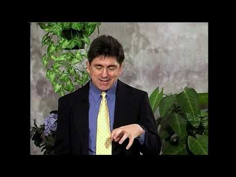 Norms of Catholic Doctrine by Marcellino D'Ambrosio: 5. Senses of Scripture and Hermeneutics