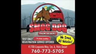 Smog Dog Palm Desert