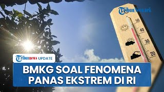 Penjelasan BMKG soal Penyebab Fenomena Panas Ekstrem di Indonesia: Pola Cuaca Tak Menentu