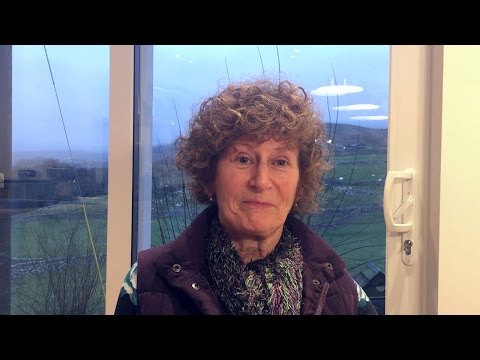 Introduction To Training Your English Springer Spaniel  - Jackie And Dolly