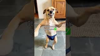 Objetivo da Semana é Que Ela Acabe Logo 🤣