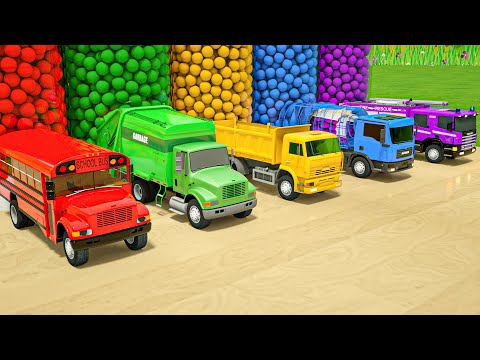 Bingo + Wheels On the Bus song - Wheels shaped like soccer balls - Baby Nursery Rhymes & Kids Songs