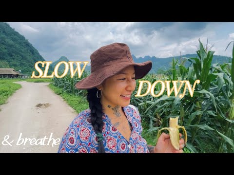 Vietnam’s Hidden Gems: A Solo Journey off the Beaten Path 🇻🇳🌾