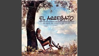 Universo Gris Lyrics English Translation