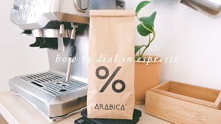how to dial in espresso using breville barista express + latte art