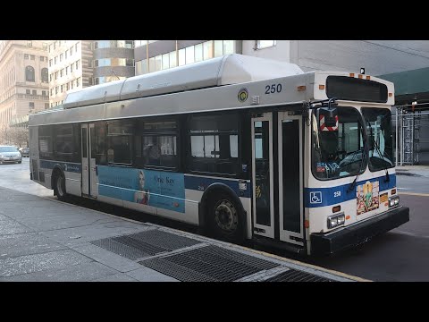 B61 Bus