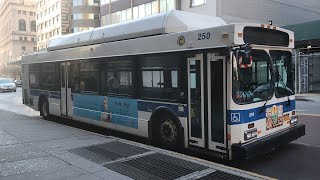 MTA NYCT #250 starting its engine on the B61 (layover)