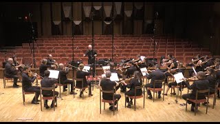 Download lagu Notre Envol — Chamber Strings Orchestra (Raphaël Novarina & Michele Pellicani) mp3