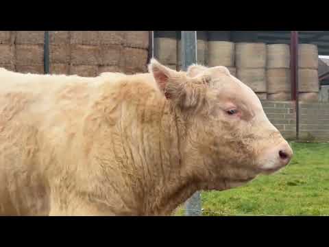 Lot 1 - GAEC Micaud 2026