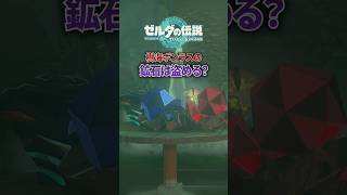 樹海ボンラスの鉱石を盗もうとしたら... #totk #ティアキン
