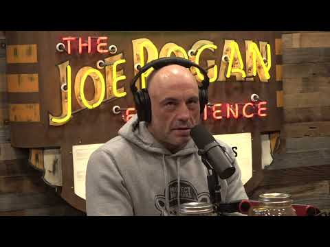Joe Rogan Experience #2062 - Will & Jenni Harris