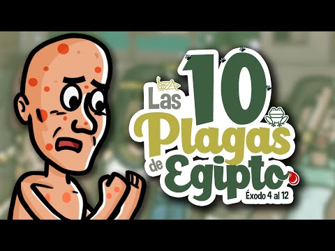 Las 10 plagas de Egipto 🐸🦗 | Historia de la Biblia | Mi Primera Biblia | 22