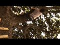 Last Summer Official Trailer