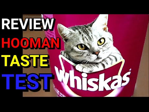 EP15 : Cat Food Review - Whiskas Cat Wet Food