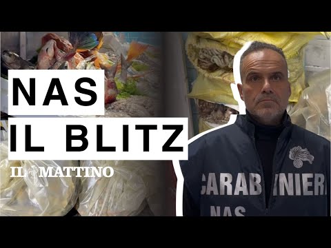 NAS raids fishmongers in Naples during the Christmas holidays
