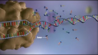 ¿Cómo surgió la vida en la Tierra? Nuevos experimentos respaldan la hipótesis del «mundo de ARN»