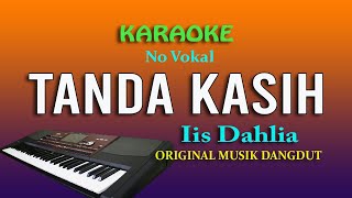 Download lagu TANDA KASIH IIS DAHLIA, KARAOKE NO VOKAL mp3