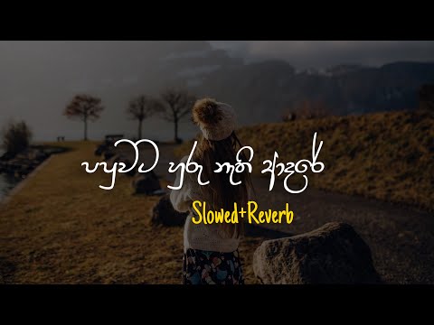 Papuwata Huru Nathi Adare - පපුවට හුරු නැති ආදරේ (Slowed+Reverb)