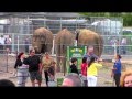 Ringling Bros Barnum Bailey Circus