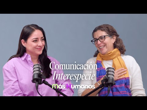 si tú canario no canta que escuche esto