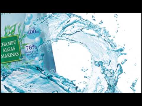 Nuevo Champú Algas Marinas Concentrado en envase reciclable