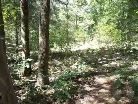 My Favorite Knife & Multitool for Ultralight (UL) Backpacking - The Wenger Backpacker Serrated Model