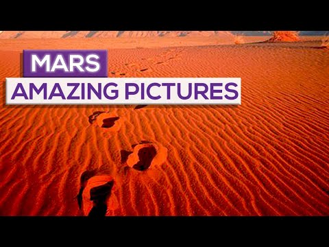 New Space Race Who Will Be The First To Reach Mars