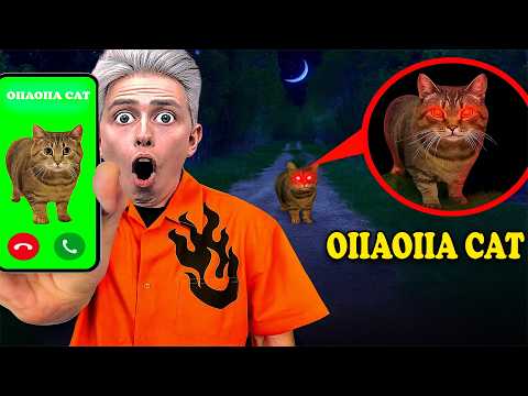 WE CALLED OIIAOIIA CAT at 3:00 AM — AND HE ANSWERED!