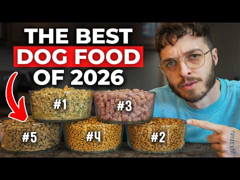 I Found the Top Dog Foods of 2026 (Vet-Approved)