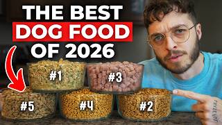 I Found the Top Dog Foods of 2026 (Vet-Approved)