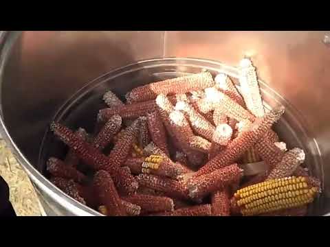 Dengan penemuan yang dia temukan ini, dia menantang para insinyur Tesla. Alat buatan sendiri yang