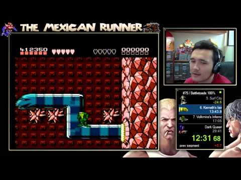Battletoads 100% in 29:27 [New WR]