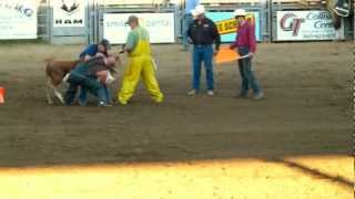 preview picture of video 'Dress a Cow - Thunder Mountain Pro Rodeo'