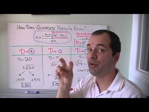 Number of Real Roots