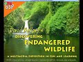 David Bellamy S Endangered Wildlife Intro Theme