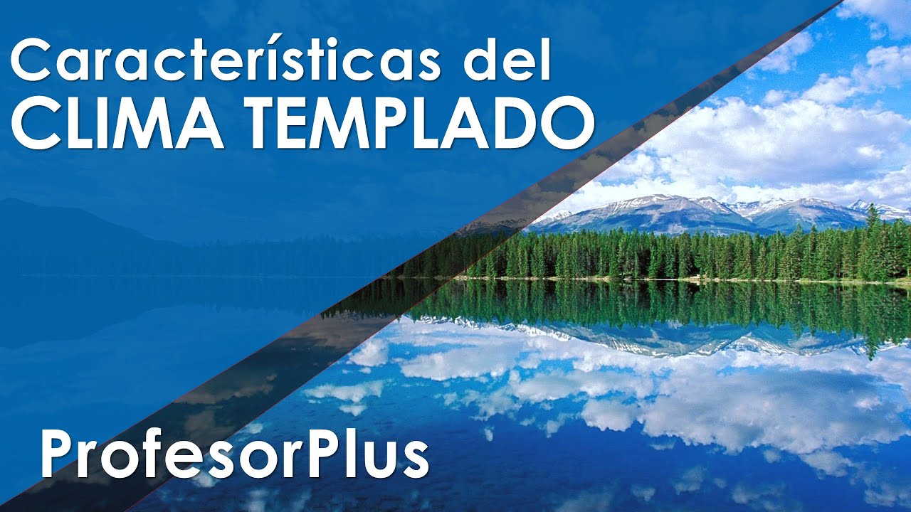 ¿Cuáles son las principales características del clima en los pastizales