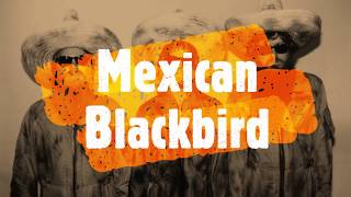 ZZ TOP Mexican Blackbird