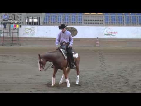 ARNAUD GIRINON - ARC GUNS M OAKS