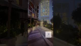 Night view of central park at #iconoftheseas