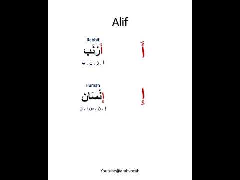 Learn the Arabic alphabet-Alif. Learn Arabic words starting with Alif.