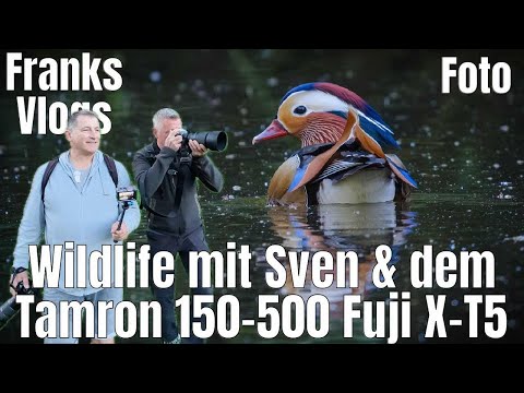 Wildlife mit der Fujifilm X-T5 Tamron 150-500mm &  mit @SKlueglPhotographie