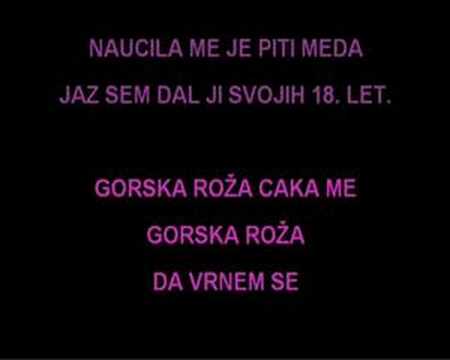 Karaoke - Andrej Šifrer - Gorska Roža