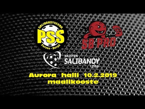 PSS - SB Pro maalikooste