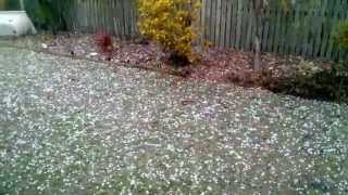 preview picture of video 'Brisbane hail storm 27/11/2014'