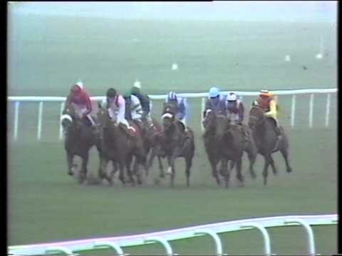 1990 Three Chimneys Dewhurst Stakes