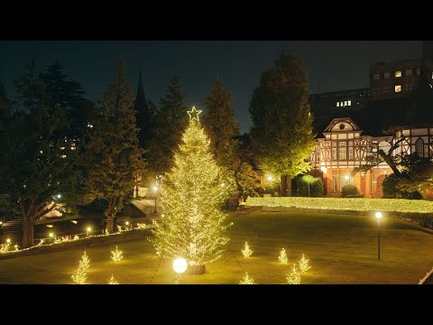白金キャンパスのクリスマスツリー点灯式