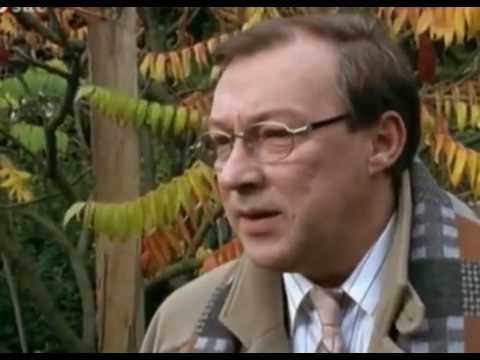 Polizeiruf 110 Staffel 24 Folge 1