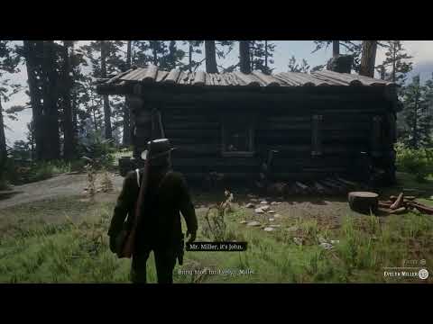 I Guess Dutch Did NOT Go Insane From His Head Injury After All! | Red Dead Redemption 2