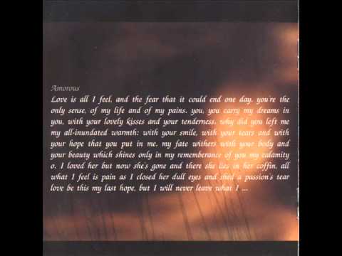 Amorous cover